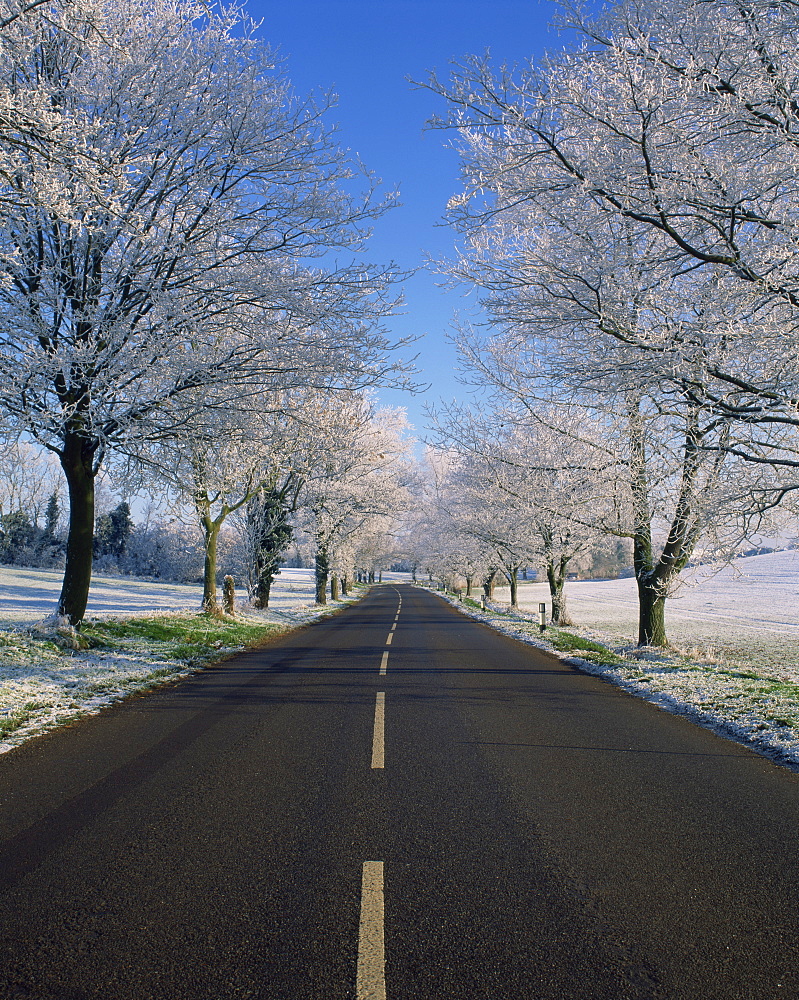 Straight empty road through rural Lincolnshire in winter, England, United Kingdom, Europe