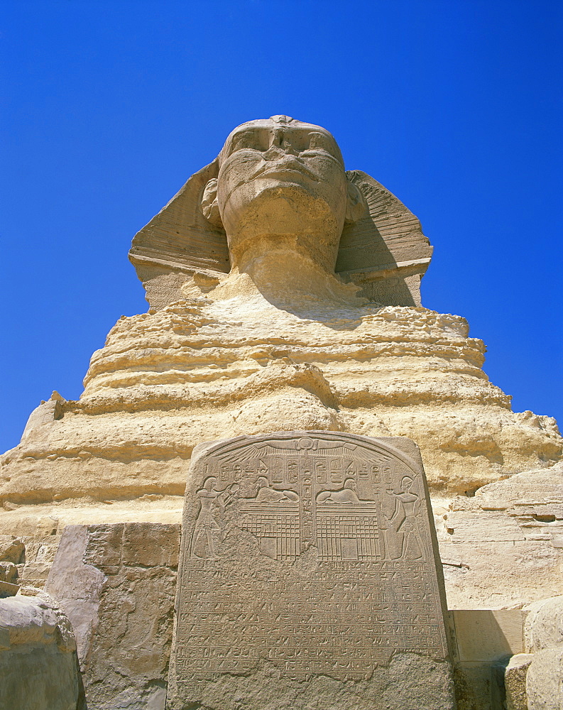 The Great Sphinx and tablet or stela, Giza, UNESCO World Heritage Site, Cairo, Egypt, North Africa, Africa