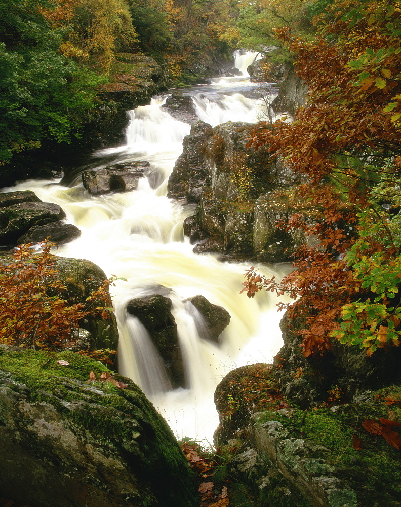 Waterfall on Afon Llugwy, Betws-Y-Coed, Wales, United Kingdom, Europe