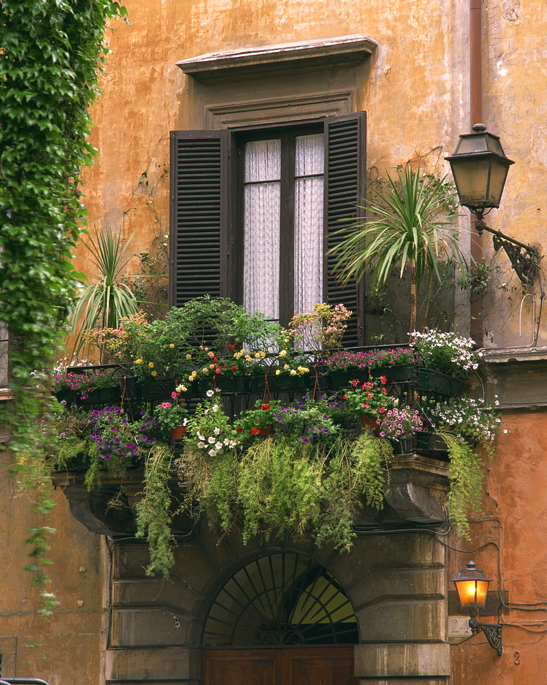 Window display near Piazza Navona, Rome, Lazio, Italy, Europe