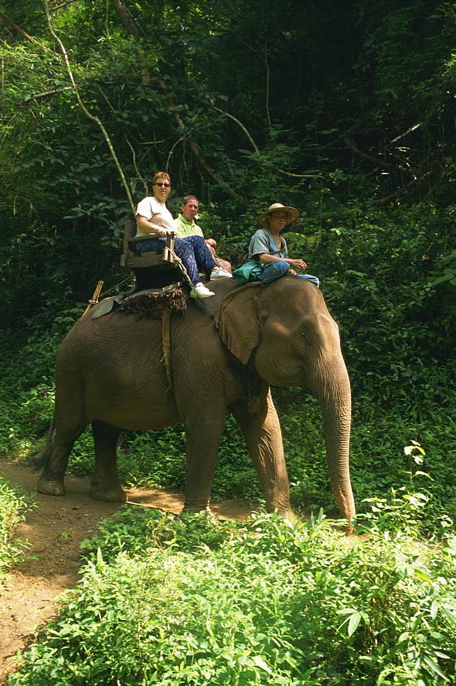 Tourists ride on an elephant at the Chiang Dao Elephant Training Centre at Chiang Mai, Thailand, Southeast Asia, Asia