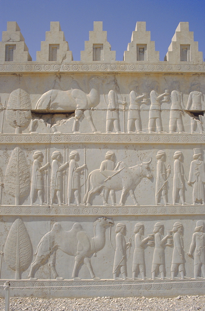 Parade of nations carving, Apadana Palace staircase, archaeological site, Persepolis, Iran, Middle East, Asia