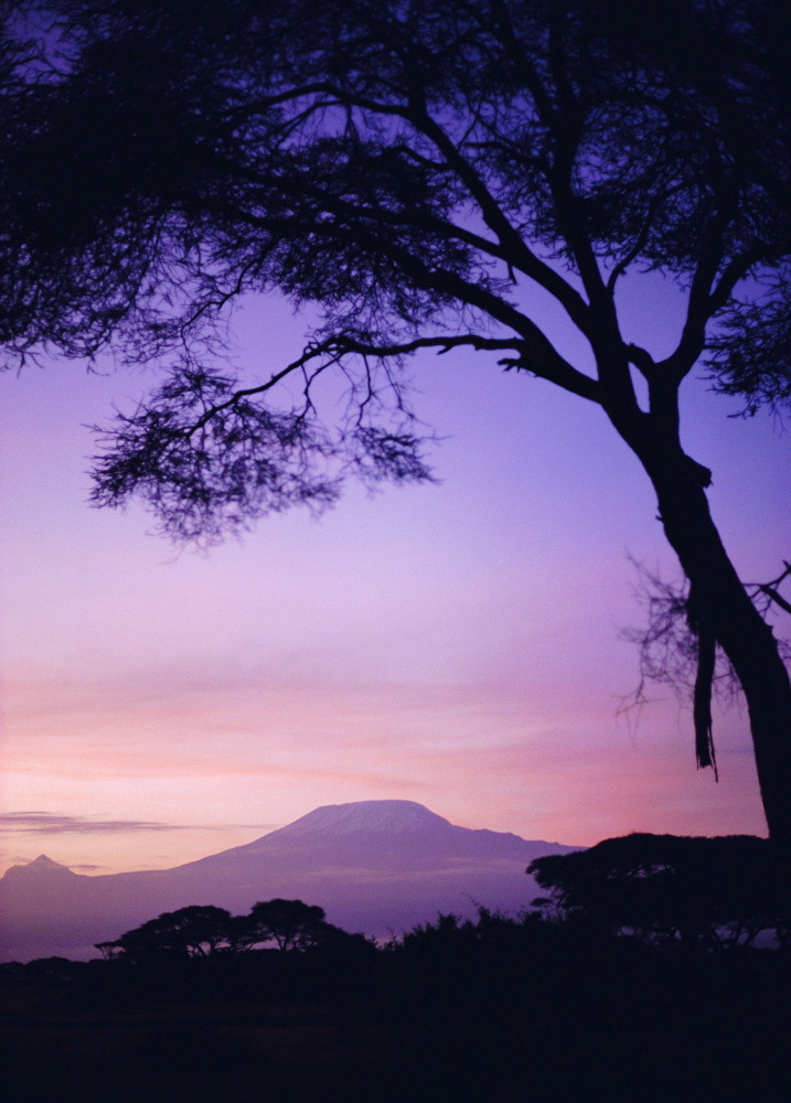 Sunrise, Mount Kilimanjaro, Amboseli National Park, Kenya, East Africa, Africa