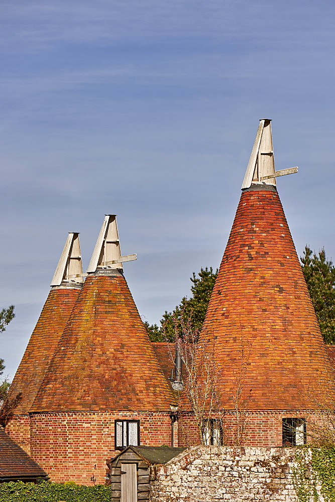 Oast houses, originally used to dry hops in beer-making, converted into farmhouse accommodation at Tudeley, Kent, England, United Kingdom, Europe