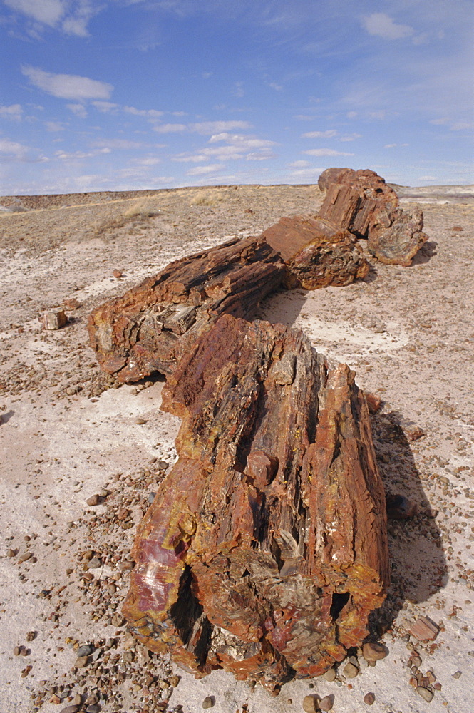 Petrified Forest National Park, Arizona, USA