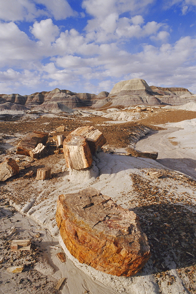 Blue Mesa, Petrified Forest National Park, Arizona, USA