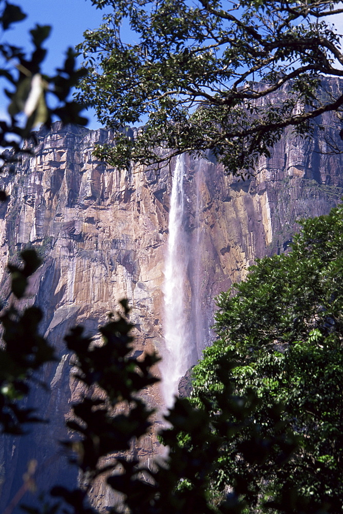 Angel Falls, Canaima National Park, UNESCO World Heritage Site, Venezuela, South America