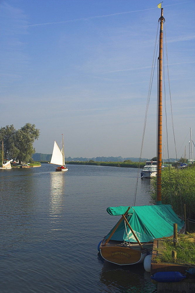 Thurne Broad, Norfolk, England, United Kingdom, Europe