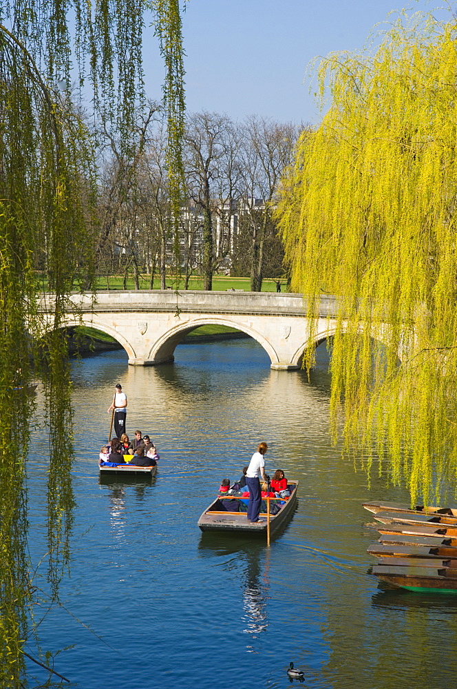 Punts, Cambridge, Cambridgeshire, England, United Kingdom, Europe