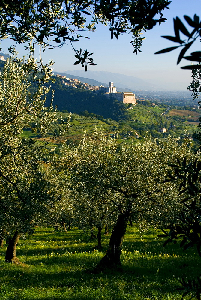 View of Church of San Francesco, Assisi, UNESCO World Heritage Site, Umbria, Italy, Europe