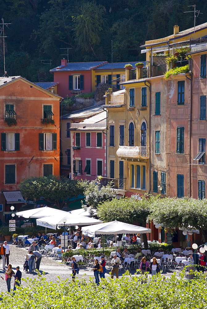 Portofino, Riviera di Levante, Liguria, Italy, Europe