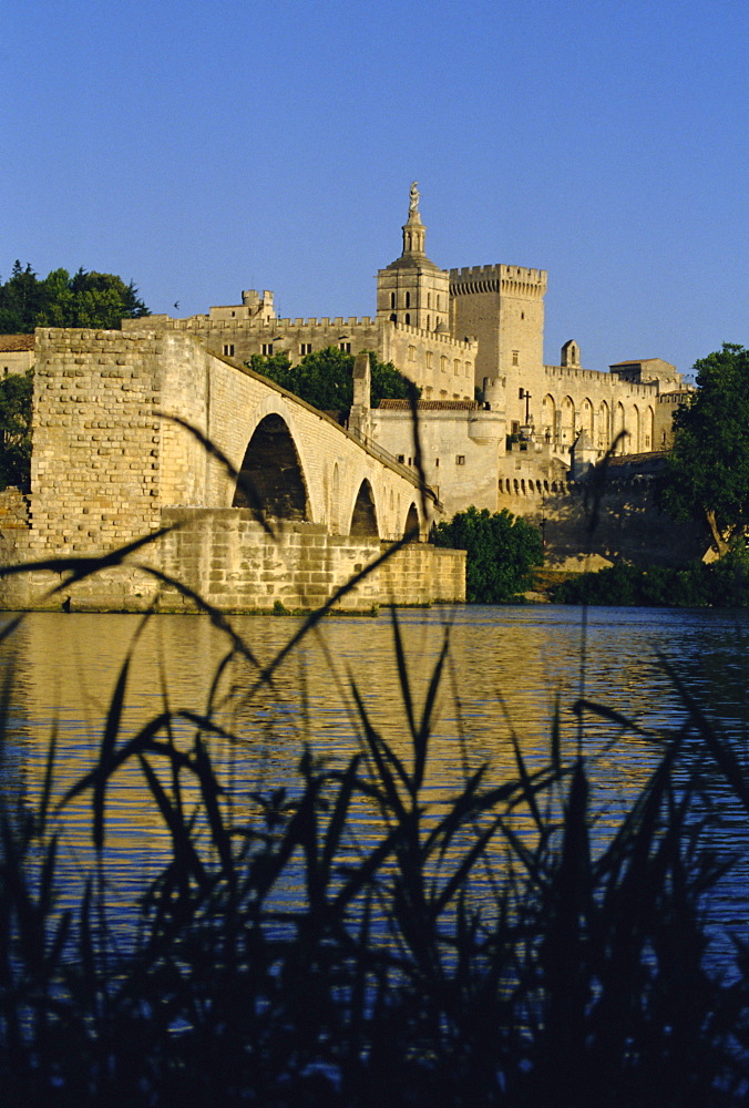 The River Rhone at Avignon, Provence, France