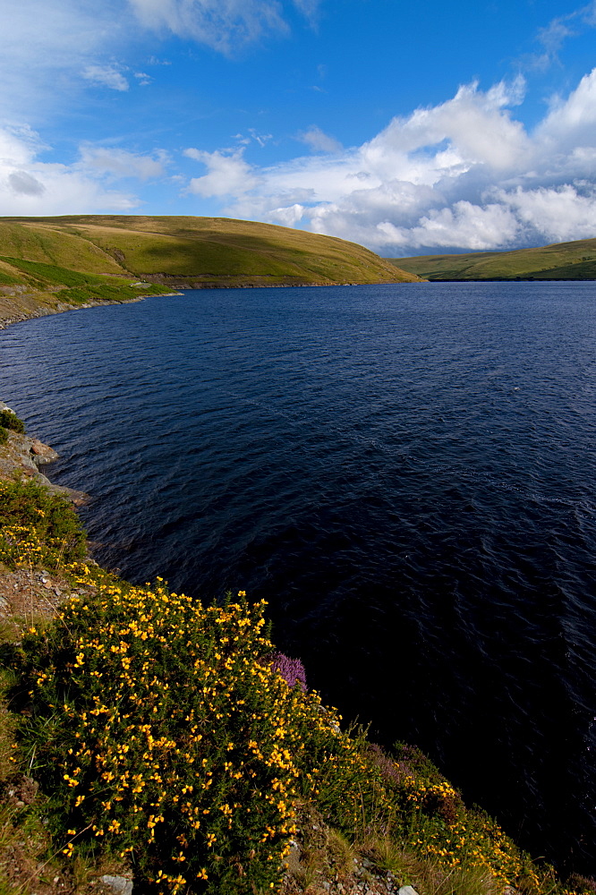 Elan Valley, Powys, Wales, United Kingdom, Europe