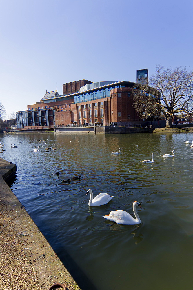 Theatre and River Avon, Stratford upon Avon, Warwickshire, England, United Kingdom, Europe