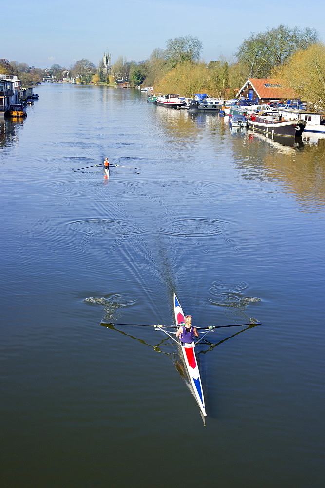 Rowing on the River Thames, Hampton, Middlesex, England, United Kingdom, Europe