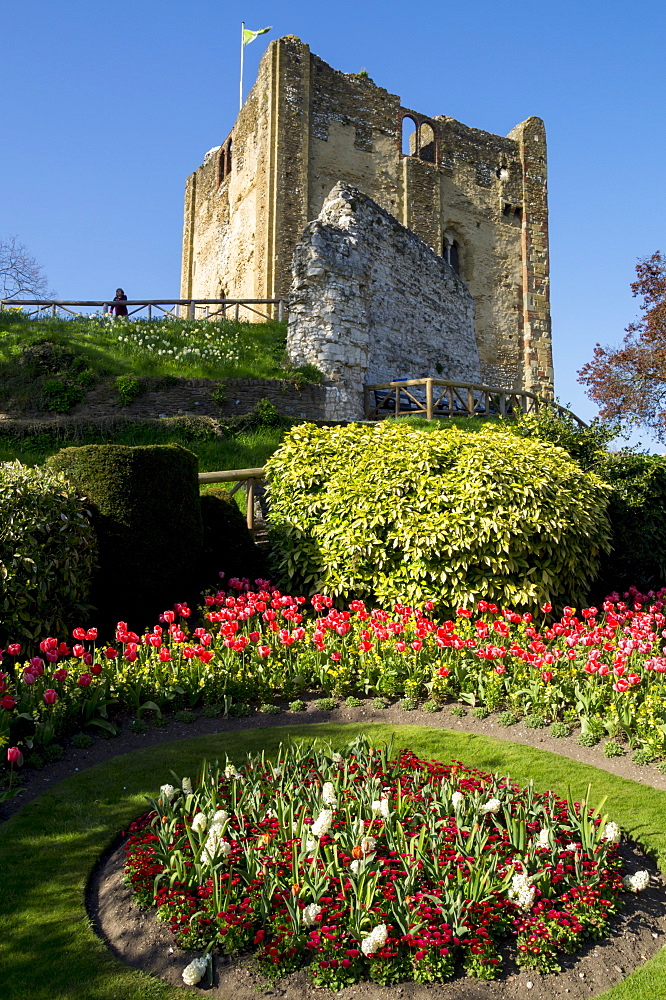 Spring flowers in ornamental beds decorate Guildford Castle, Guildford, Surrey, England, United Kingdom, Europe