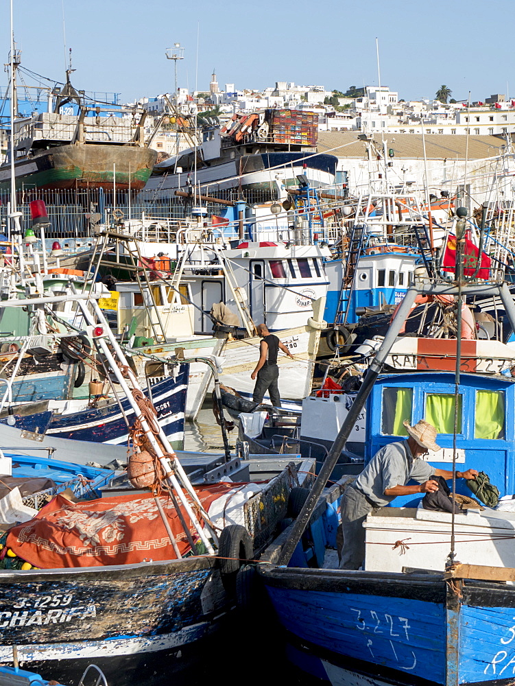 Fishing boats in port, Tangier, Morocco, North Africa, Africa