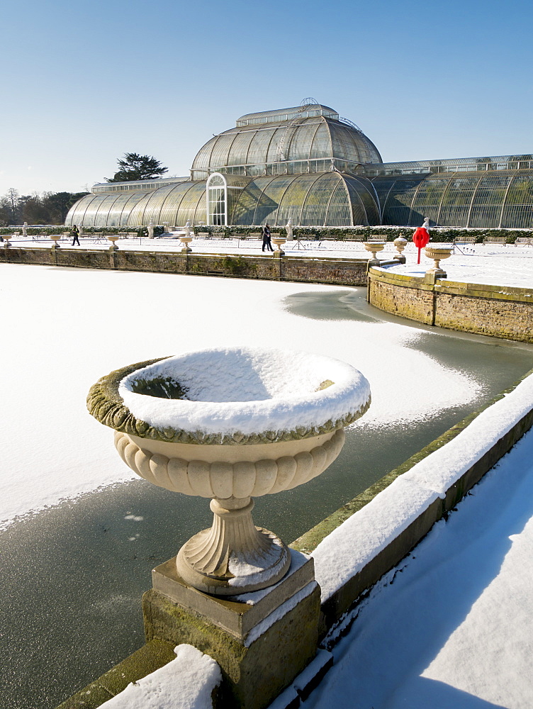 Palm House in winter, Kew Gardens, UNESCO World Heritage Site, London, England, United Kingdom, Europe