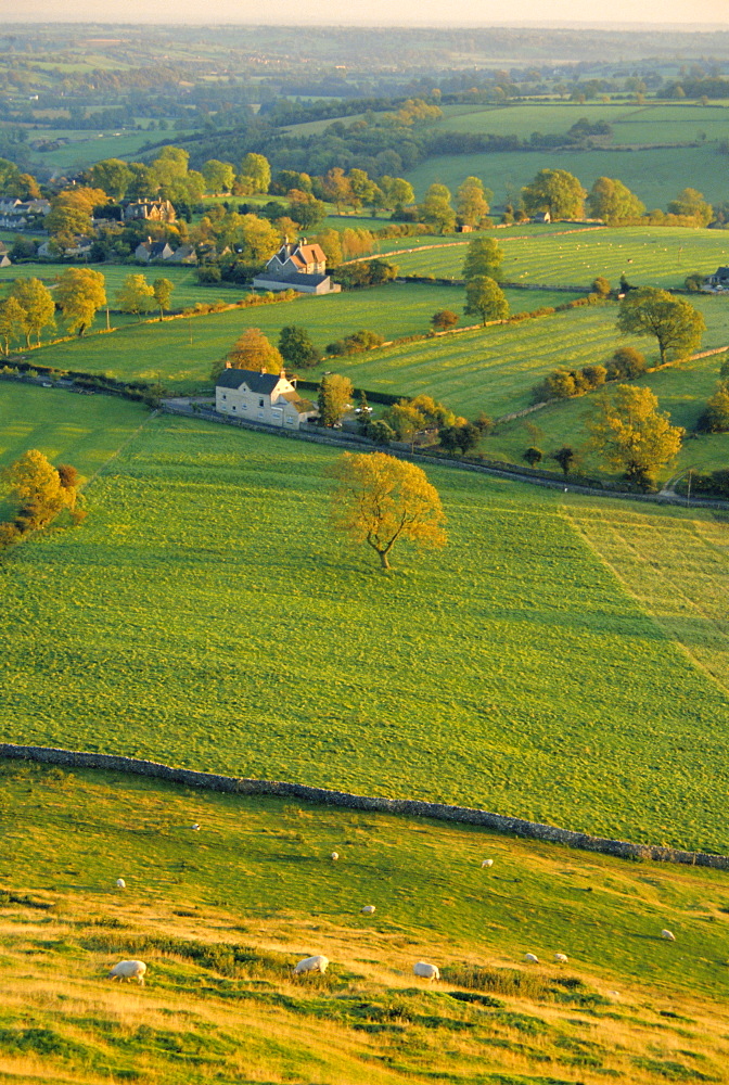 Thorpe Cloud, Dovedale, Peak District National Park, Derbyshire, England, UK