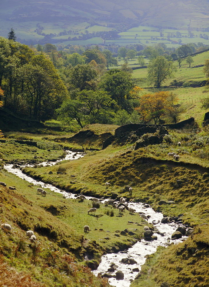 Edale, Peak District National Park, Derbyshire, England, UK, Europe