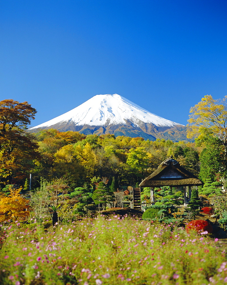 Mt. Fuji, Japan