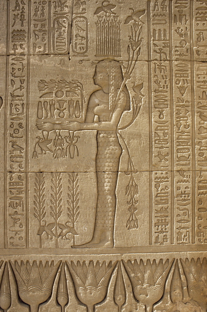 Relief carving of offerings being made, Temple of Hathor, Dendera, Egypt, North Africa, Africa