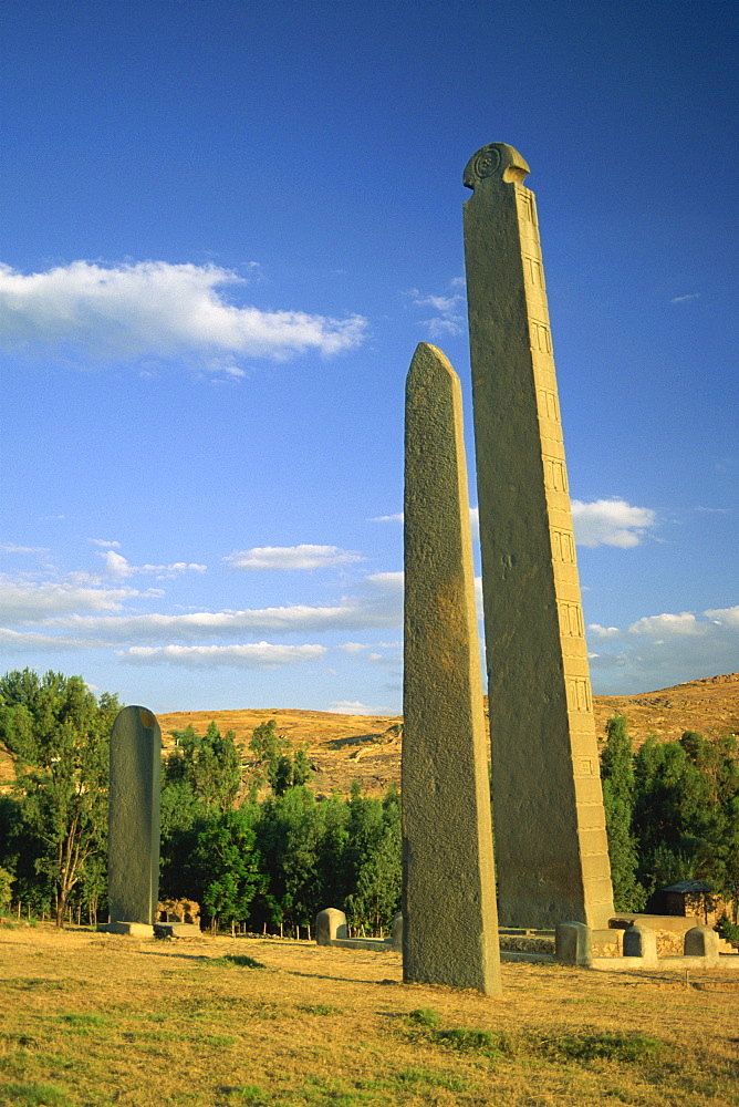 Stelae Field, Axum, Ethiopia, Africa