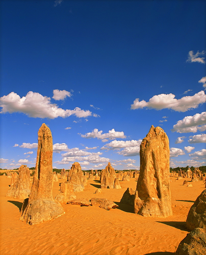 The Pinnacles, Nambung National Park, Cervantes, Western Australia, Australia, Pacific