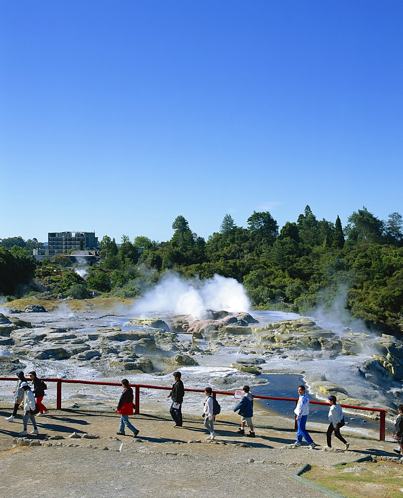 Tourists visiting the Whakarewarewa Thermal Reserve in Rotorua, South Auckland, North Island, New Zealand, Pacific