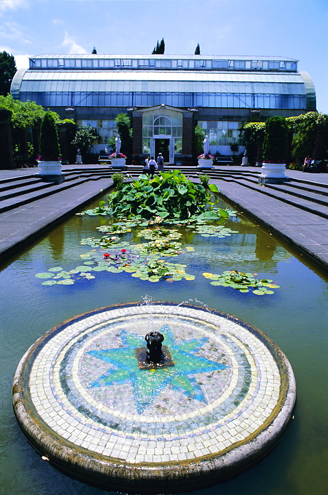 Lily pond and fountain, Winter Gardens, Domain Park, Auckland, North Island, New Zealand, Pacific