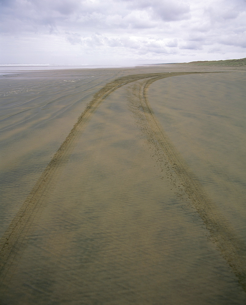 Car tracks along 90 Mile Beach, officially designated a road, in Northland, North Island, New Zealand, Pacific