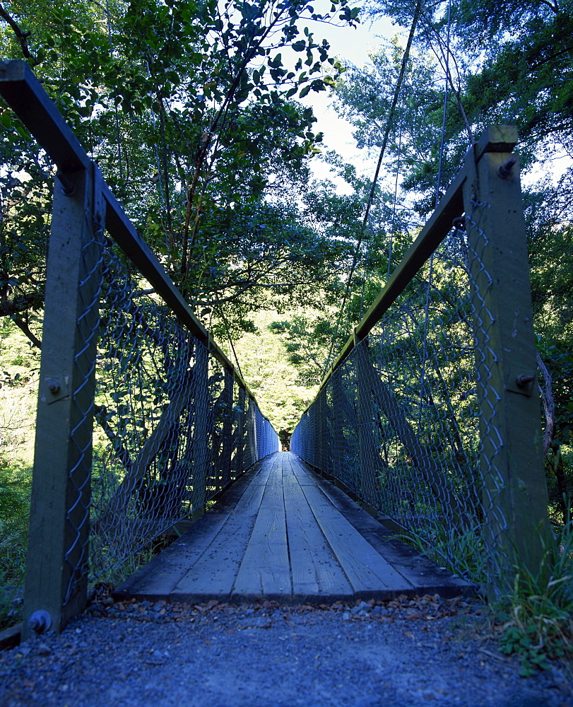 Wooden bridge in the Peloris Reserve, Marlborough Sounds, New Zealand, Pacific