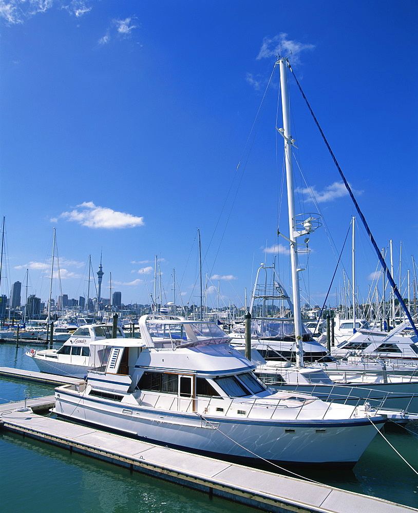 Boats in the Westhaven yacht marina in the city of Auckland, City of Sails, in the North Island of New Zealand, Pacific