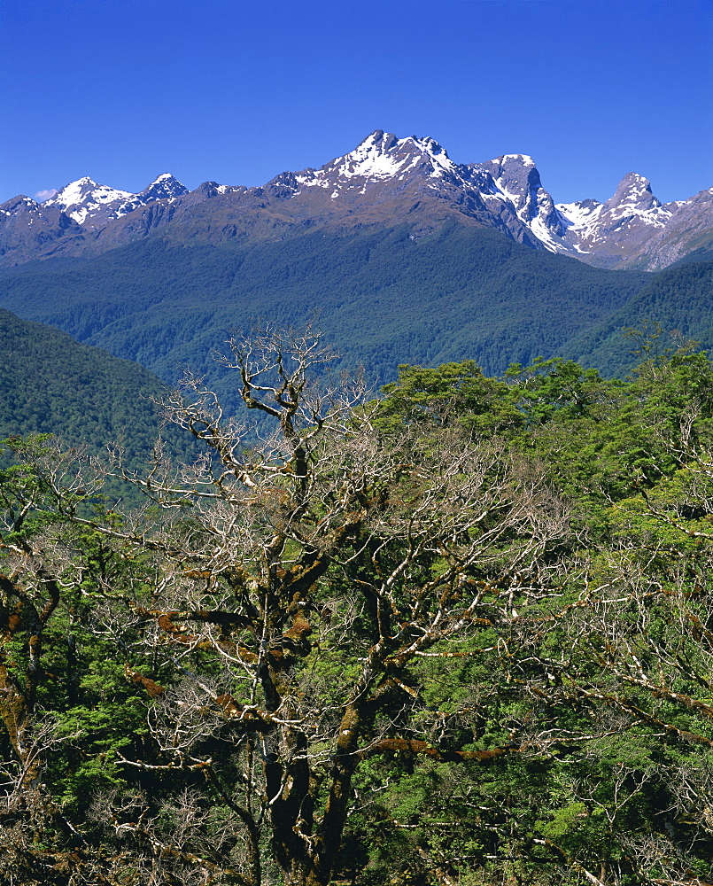 Fiordland National Park, UNESCO World Heritage Site, Otago, New Zealand, Pacific