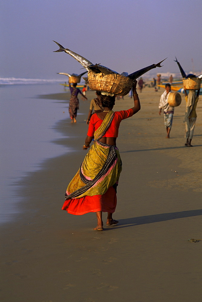 Women carrying fish catch to the market of fishing village, Puri, Orissa state, India, Asia