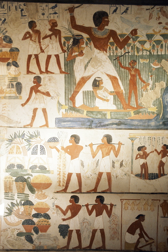 Paintings of scenes of everday life in the tomb of Nakht, Minister of Agriculture in the reign of Tutmosis IV, Valley of the Nobles, Thebes, UNESCO World Heritage Site, Egypt, North Africa, Africa