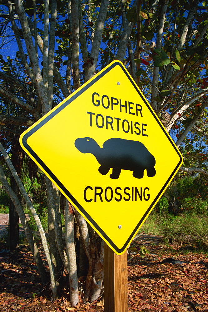 Road warning sign, J. N. Ding Darling Wildlife Refuge, Sanibel Island, Florida, United States of America, North America