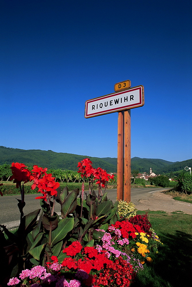 Village sign and flowers, Riquewihr, Haut-Rhin, Alsace, France, Europe