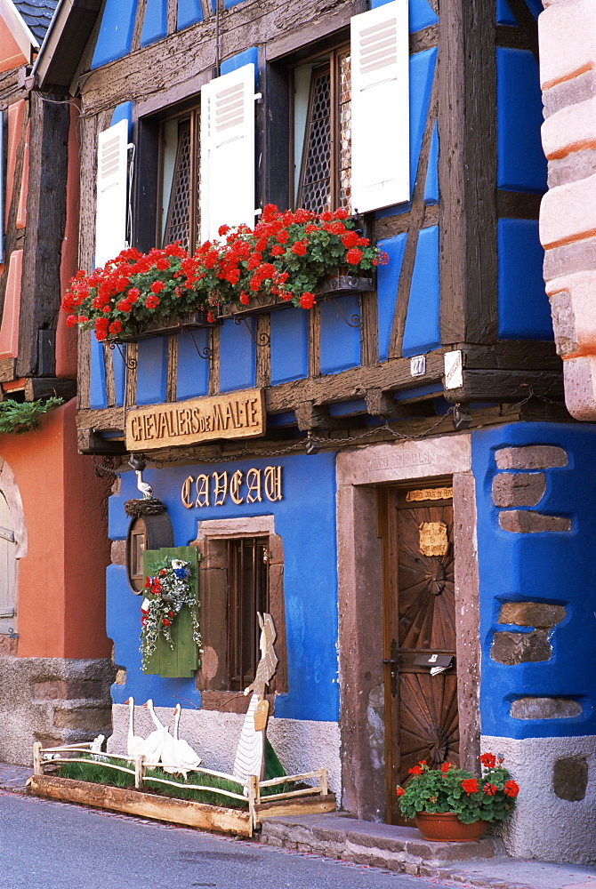 Blue house with windowbox full of geraniums, Niedermorschwihr, Haut-Rhin, Alsace, France, Europe