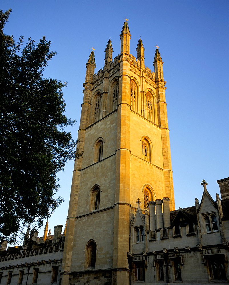 The tower of Magdalen College at sunrise, Oxford, Oxfordshire, England, United Kingdom, Europe