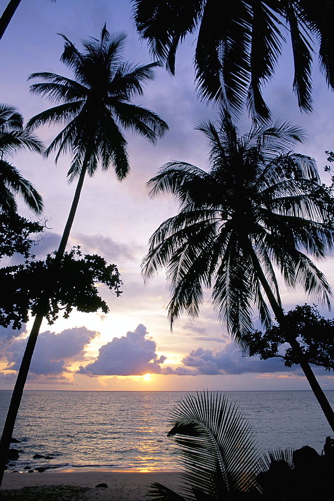 Sunset framed by palms, Patong, Phuket, Thailand, Southeast Asia, Aisa