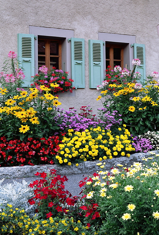 Colourful garden flowers and green shutters, Servoz, near Chamonix, Haute-Savoie, Rhone-Alpes, France, Europe