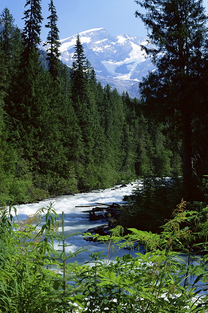 Canyon of the Fraser River, Mount Robson Provincial Park, UNESCO World Heritage Site, British Columbia (B.C.), Canada, North America