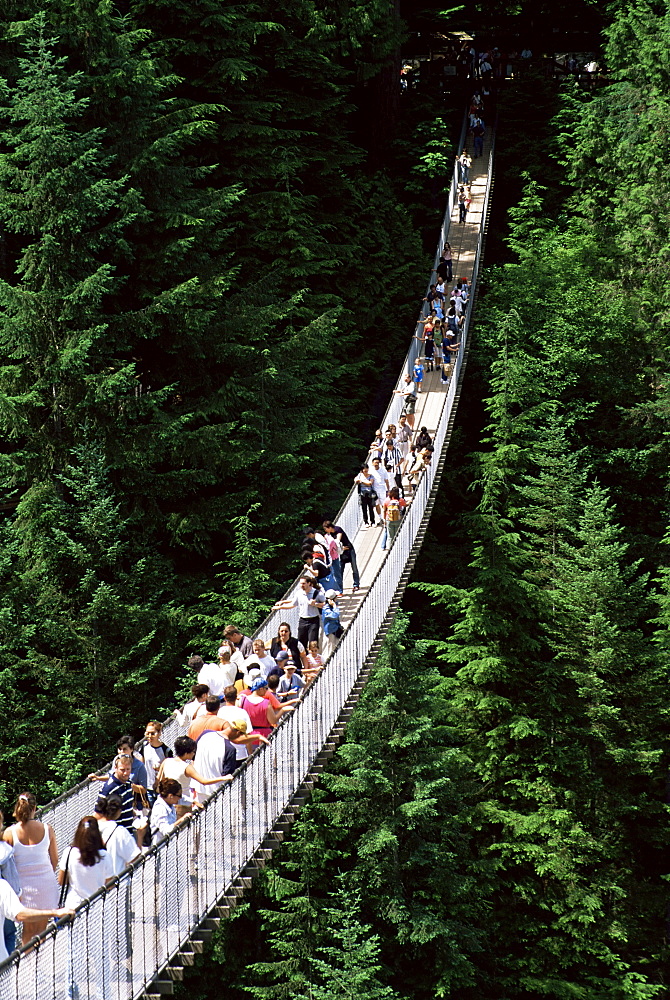 The Capilano Suspension Bridge, Vancouver, British Columbia (B.C.), Canada, North America