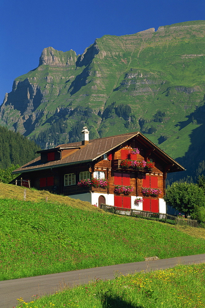 Typical wooden chalet with colourful shutters, Grindelwald, Bern, Switzerland, Europe