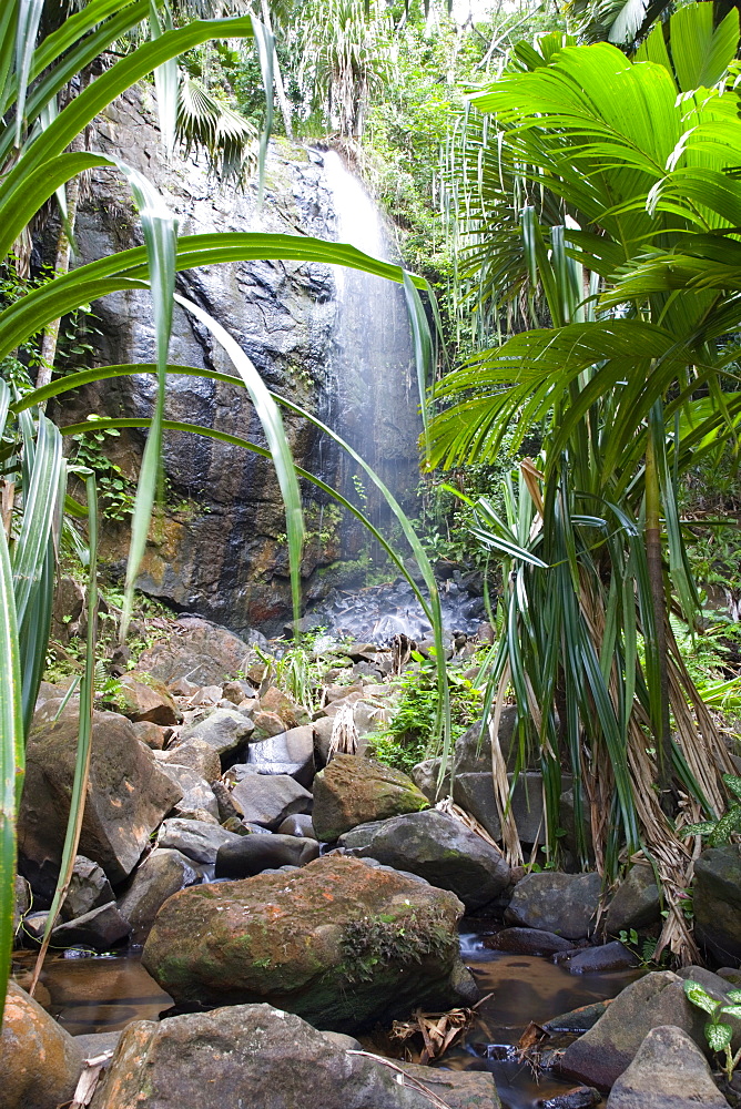 Waterfall in the Vallee de Mai Nature Reserve, UNESCO World Heritage Site, Baie Sainte Anne district, Praslin, Seychelles, Africa