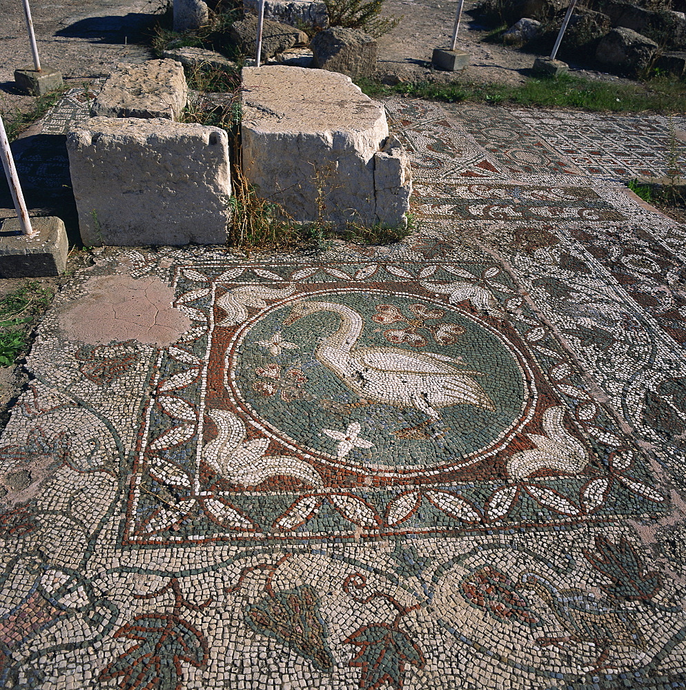 Bird mosaic on floor of Roman basilica of the 5th century AD in Soli, one of Cyprus's ten ancient city kingdoms, founded in the 6th century BC, Soli, North Cyprus, Europe