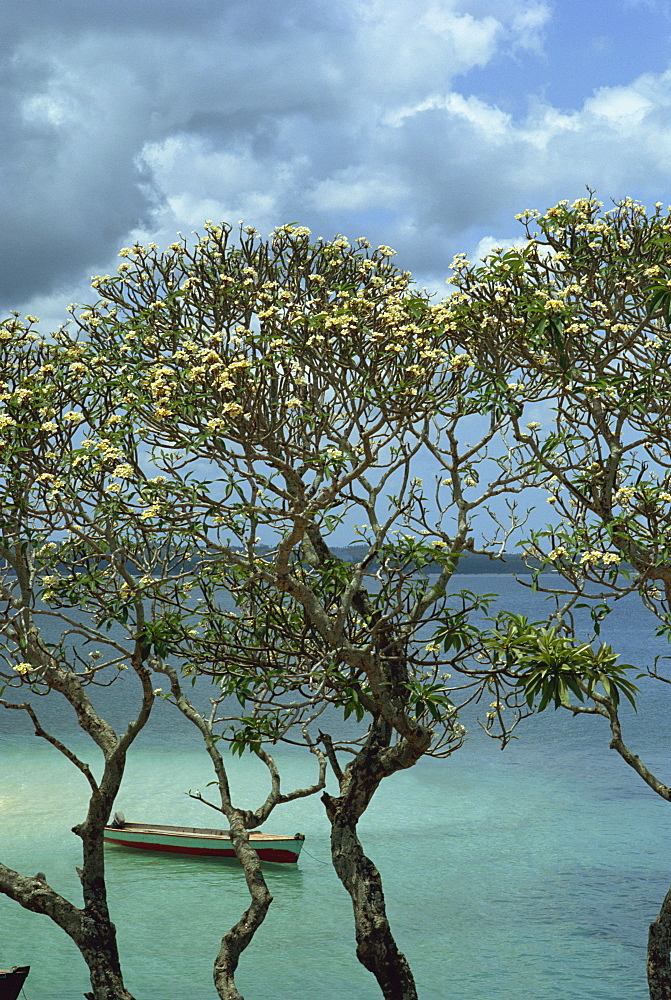 Frangipani trees and wooden boat, Prison Island, Zanzibar, Tanzania, East Africa, Africa