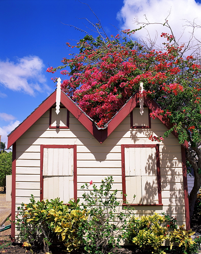 Chattel house, Barbados, West Indies, Caribbean, Central America