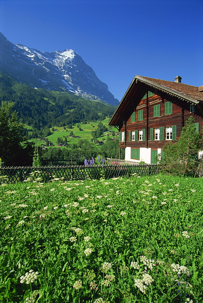 Fields and chalets at Grindelwald with the Eiger at 13026ft beyond, in the Bernese Oberland, Switzerland, Europe